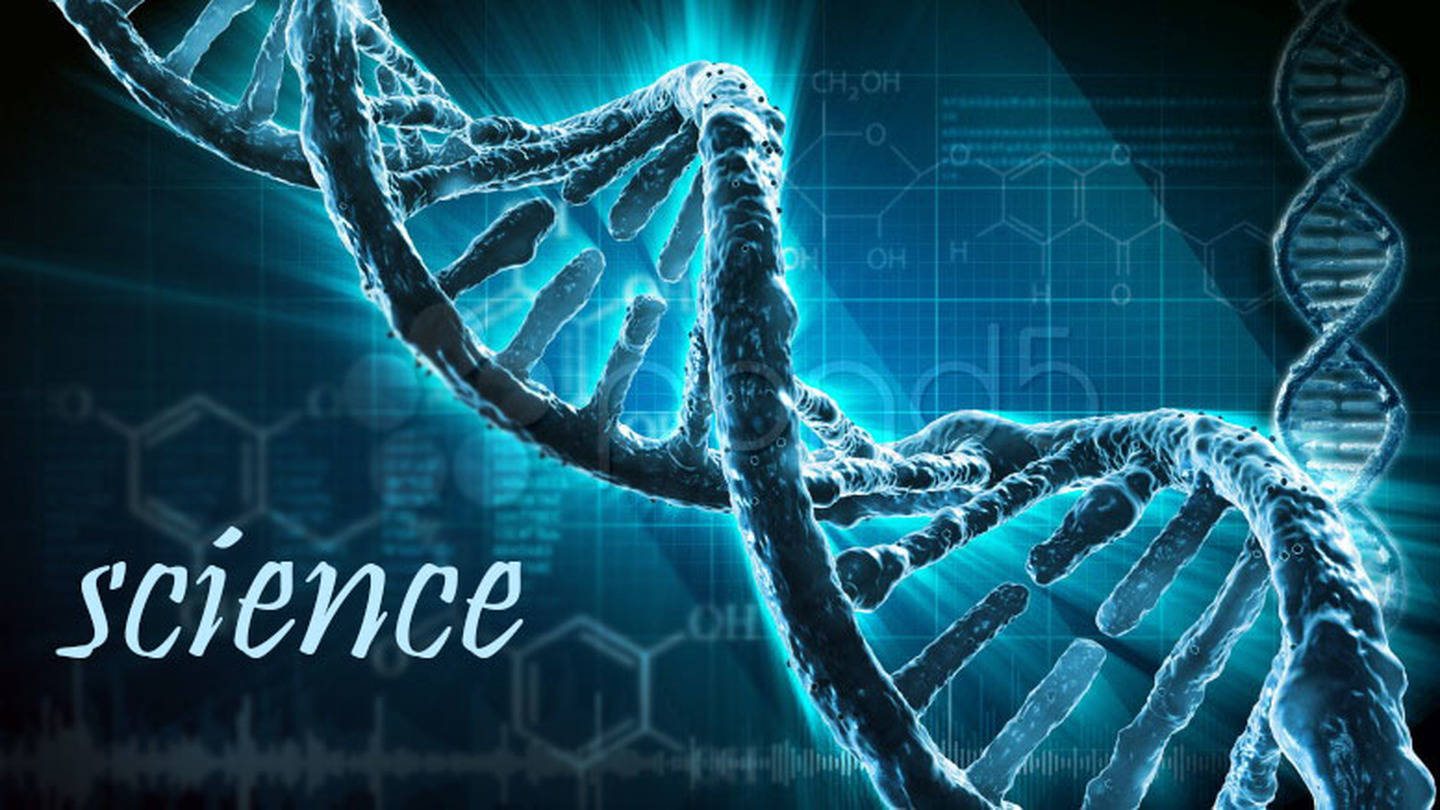 生命|刘先银对话陈琦南天人合一之精华，娄正中道生一，太极二，皇极三，无极一