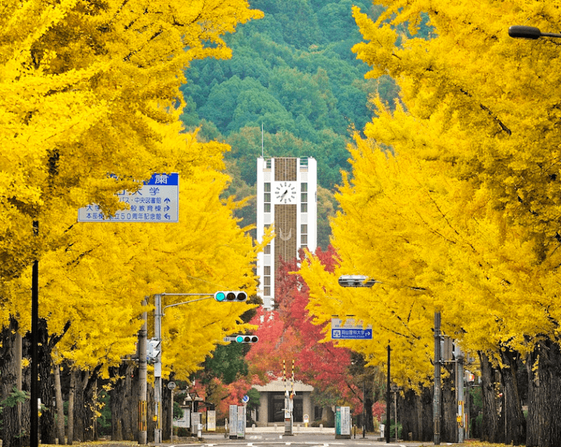 冈山大学大学院图片