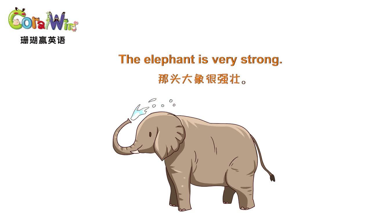巧记剑桥英语ket单词elephant