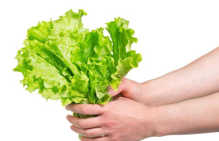 蔬菜人均摄入量_蔬菜摄入量