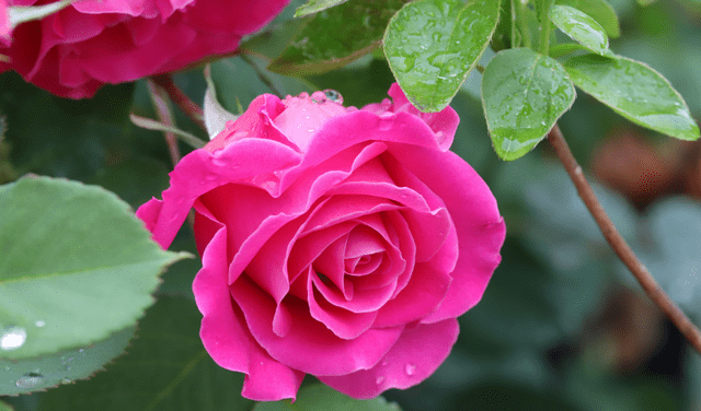 7天过后 喜鹊登门把喜报 大喜大福降家中 成功发家致富的3星座 天蝎座