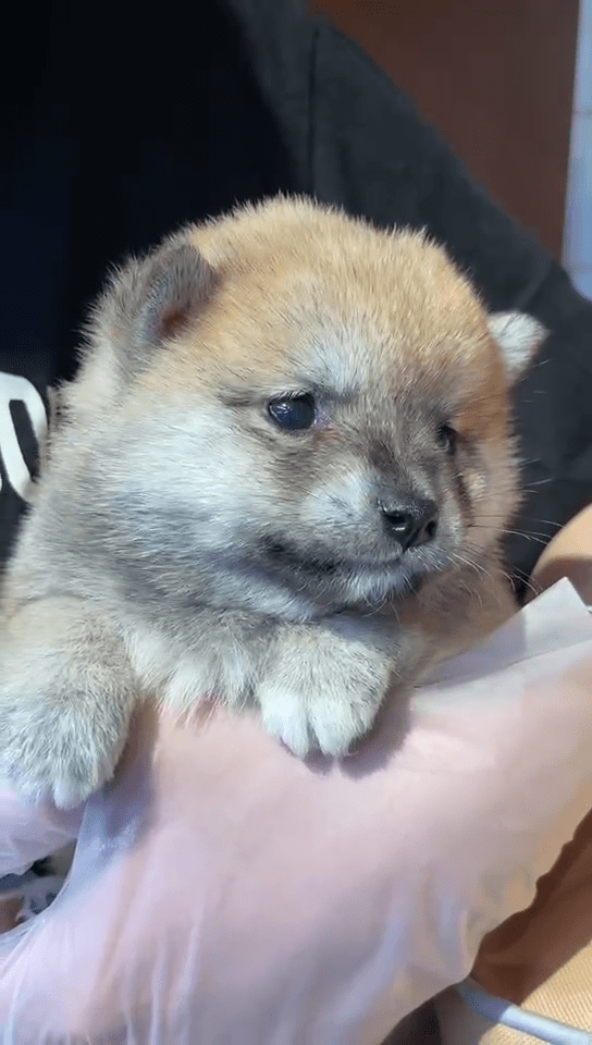 这是你想找的梅尼耶吗