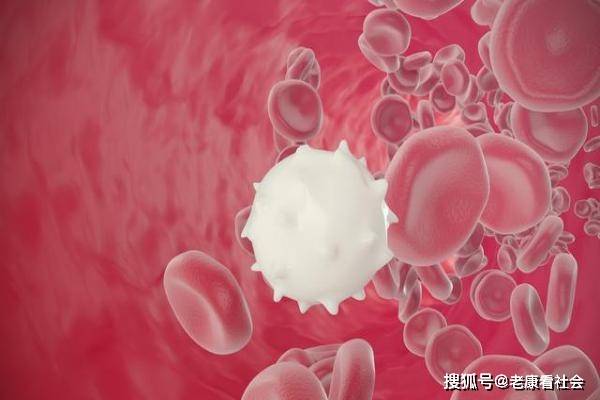 为什么会有痔疮这种东西 1094773df4e44ee6980ff8bd30716101.jpeg