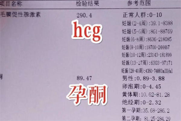 9d515cb2da1b49a99e58a09fad4de026.png