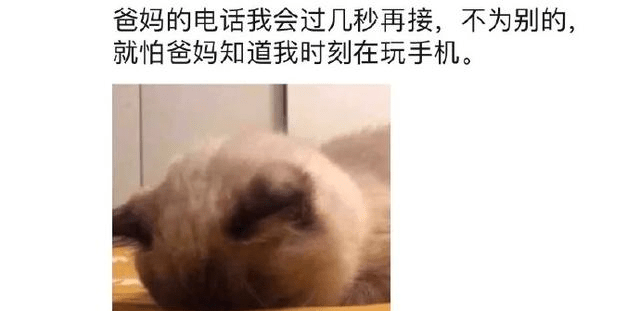 0060a1196ce54895b0798168b3721cad.png