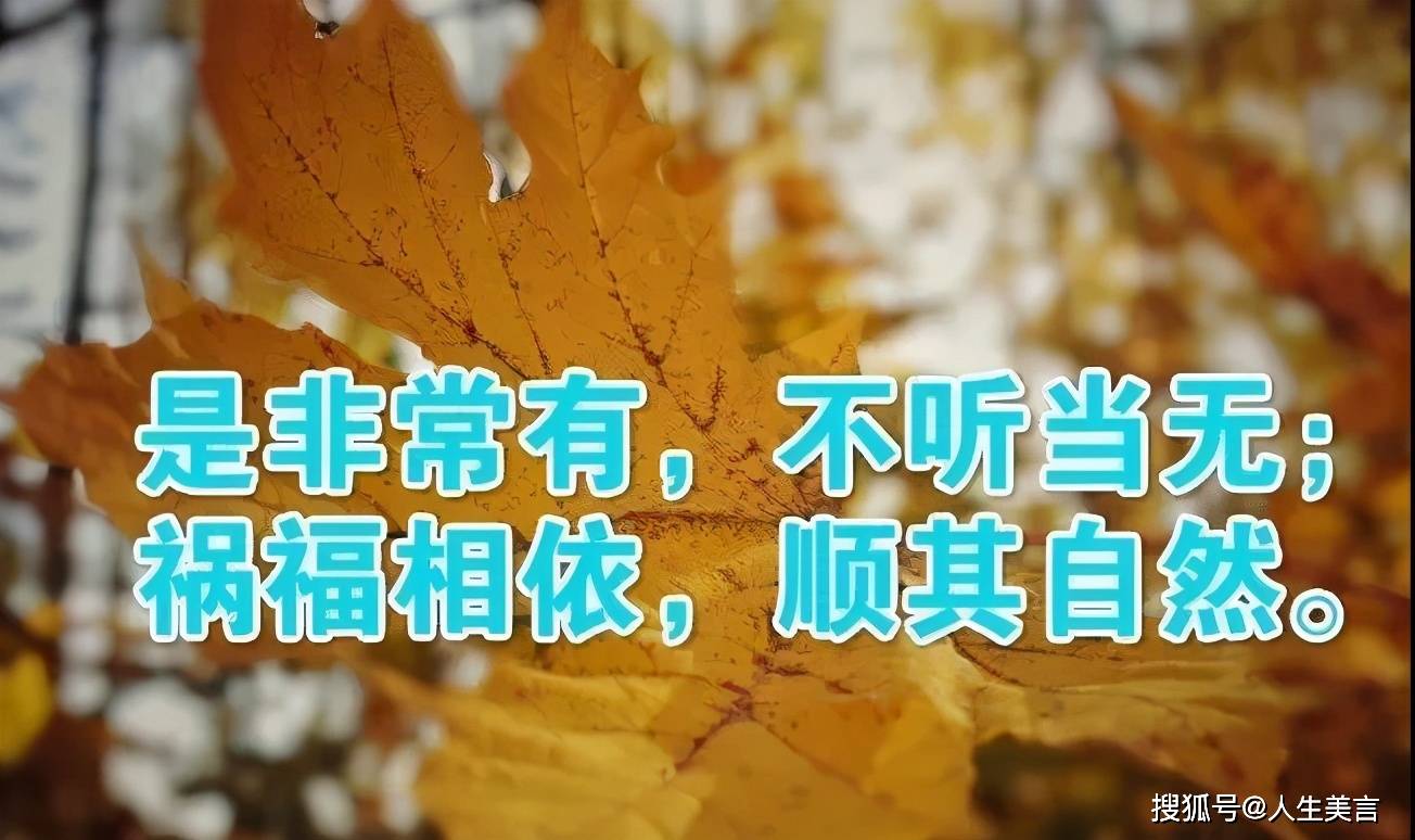 經歷過卻是, 風雨兼程,滿懷滄桑.