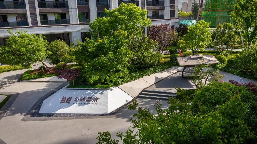 原创中国三迪探秘宝鸡项目销冠团队突出业绩引领打造高效团队