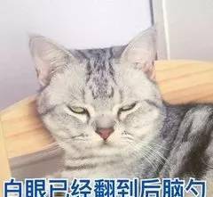 c6aabf0ec9d94ed1a9ae1e65a10b3801.jpeg