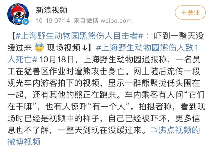 随后一连串游客的截图被爆出动物伤人事件并不只发生在动物园里现在