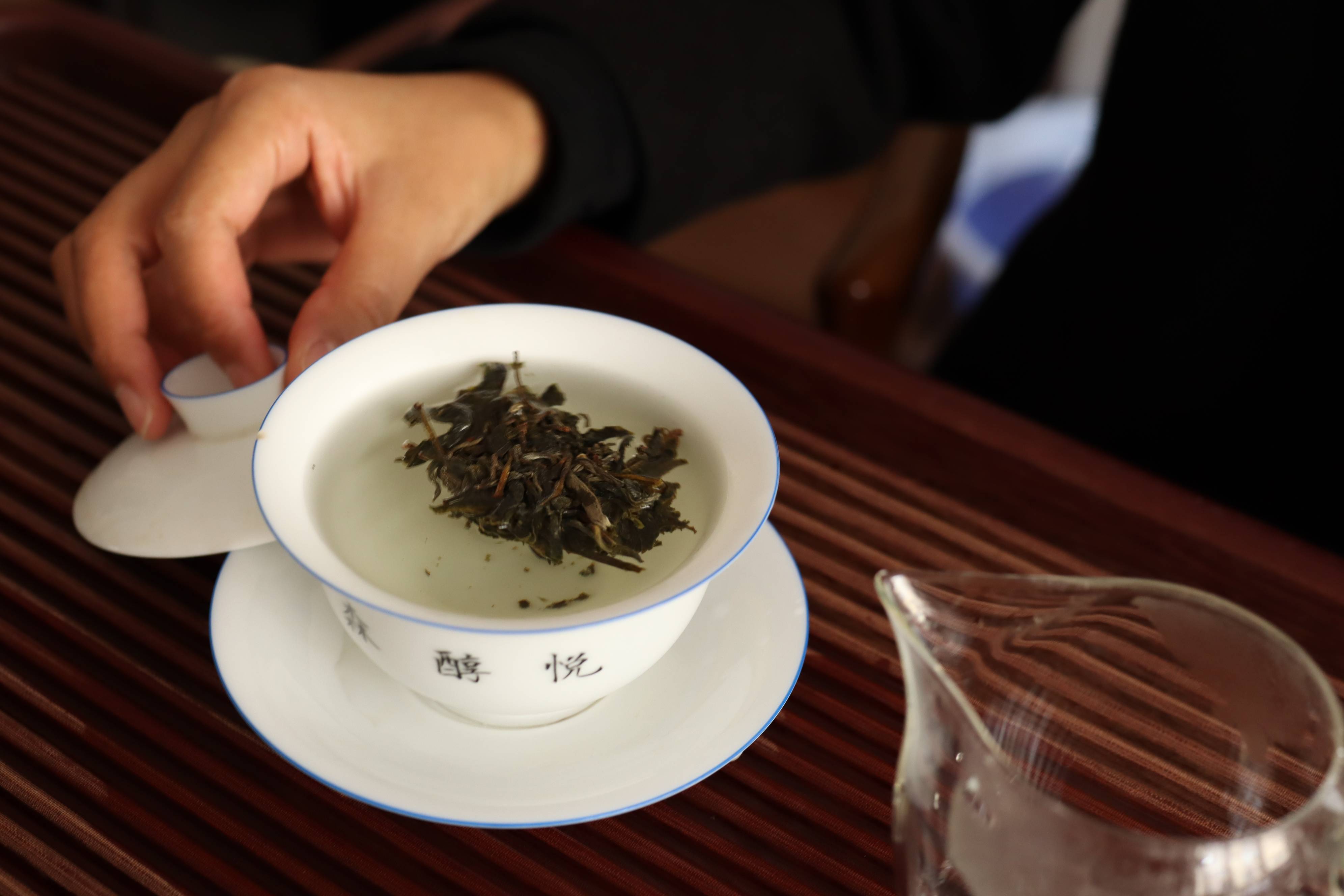 普洱茶怎么泡