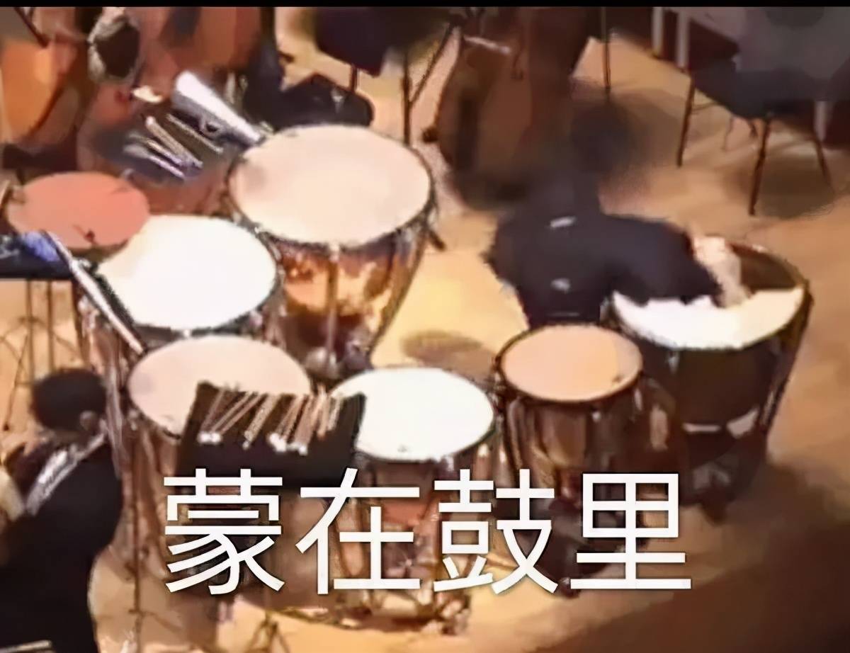 很火的音乐家视频 3807087517014d1497d51937930d7bcd.jpeg