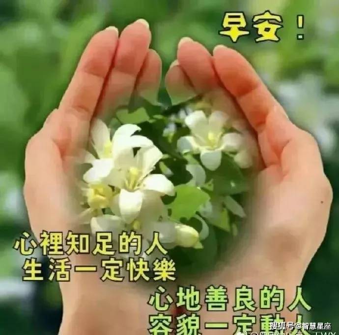 5月27日周四最美早安问候语动态图片,最新漂亮早上好表情动态图