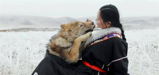 十年前,把狼当儿子的成都女孩,十年后有了个催人泪下的 结局