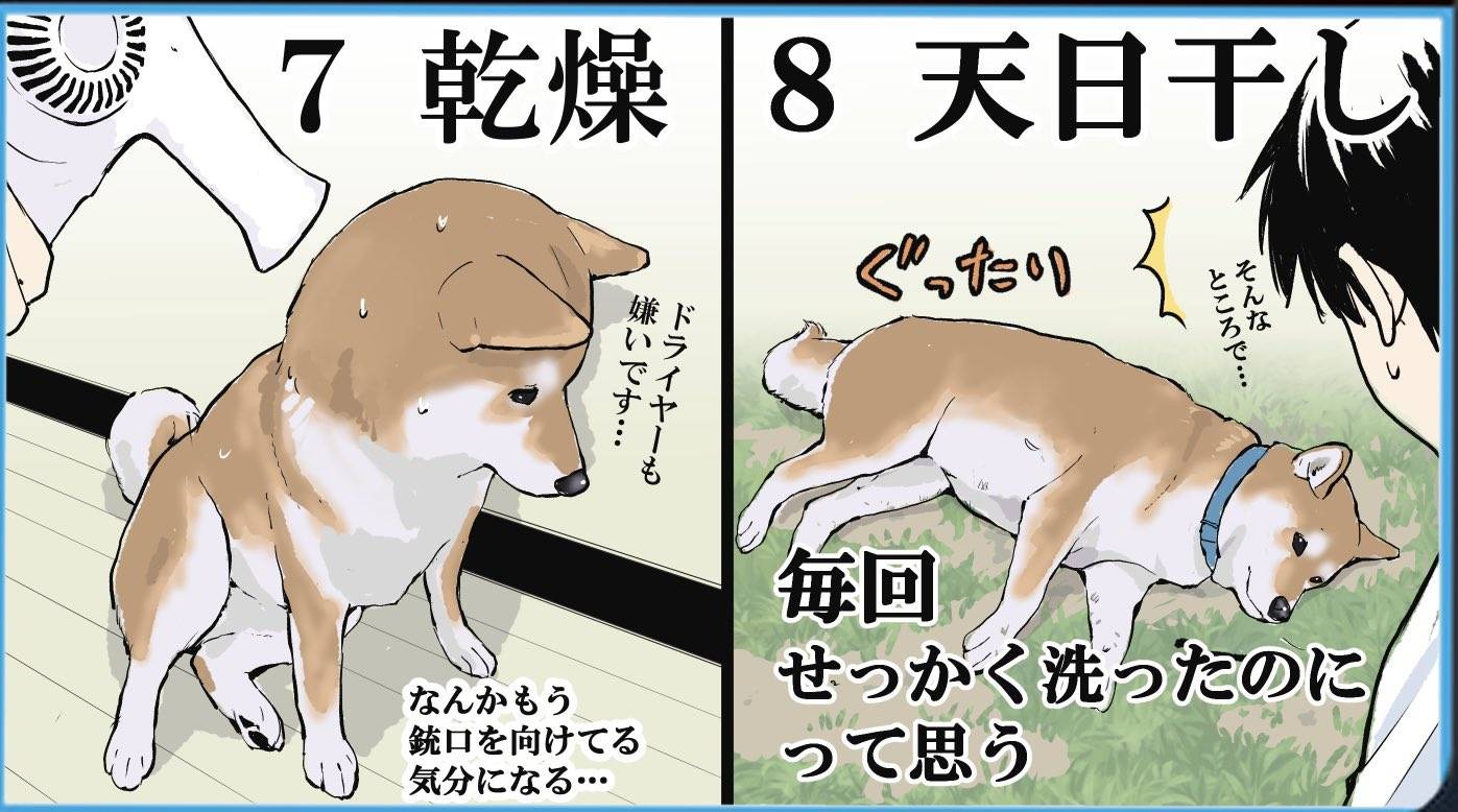 图片[4]-日本画师分享给狗狗洗澡的全过程，各种逃跑可太真实了-魔性次元