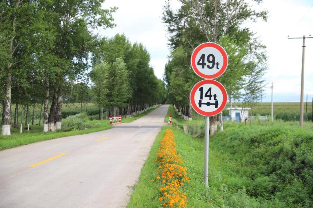 5公里终点汤原县大亮子河国家森林公园起点国道京抚公路黑龙江省