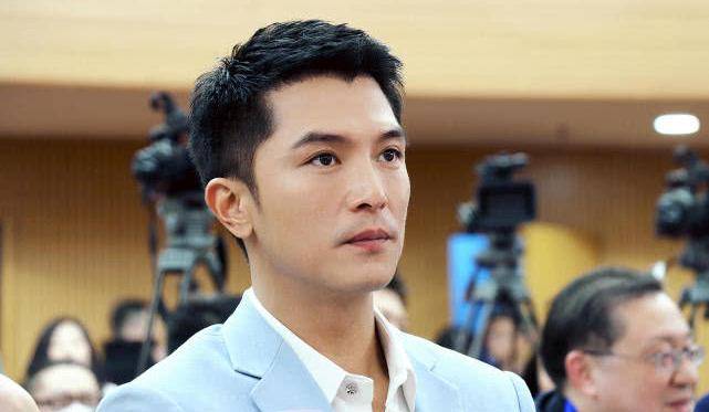 《佳期如梦》中善良正直的阮正东,演技一般吧,但凭帅气的脸庞硬生生地