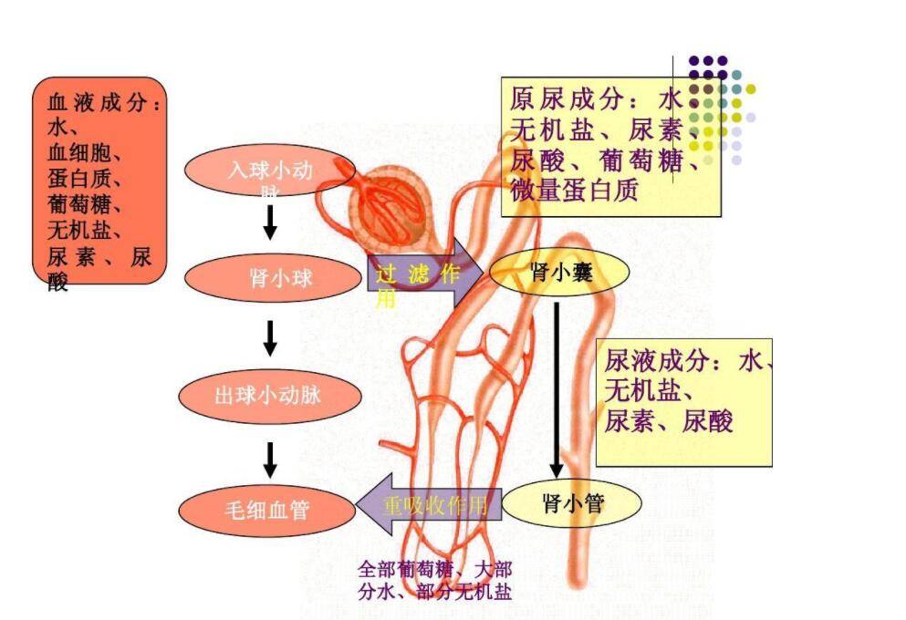 清爽可口282升尿液變202升的飲用水未來中國空間站會用嗎