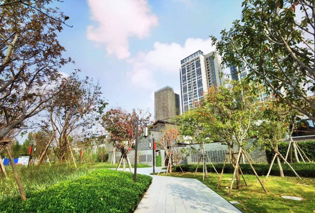 映月新城叒火了直破佛山历史起拍价天花板它成广佛新神坛