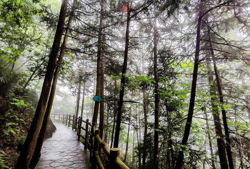 靈溪山,這裡危峰聳立,古樹參天,高山流水,意境悠遠,主峰凌霄峰海拔