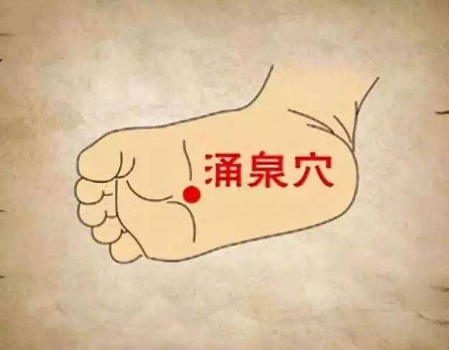 如何降低体内的雄激素水平 e7c60494f9d14c62b7da6fd040f6a3d9.jpeg