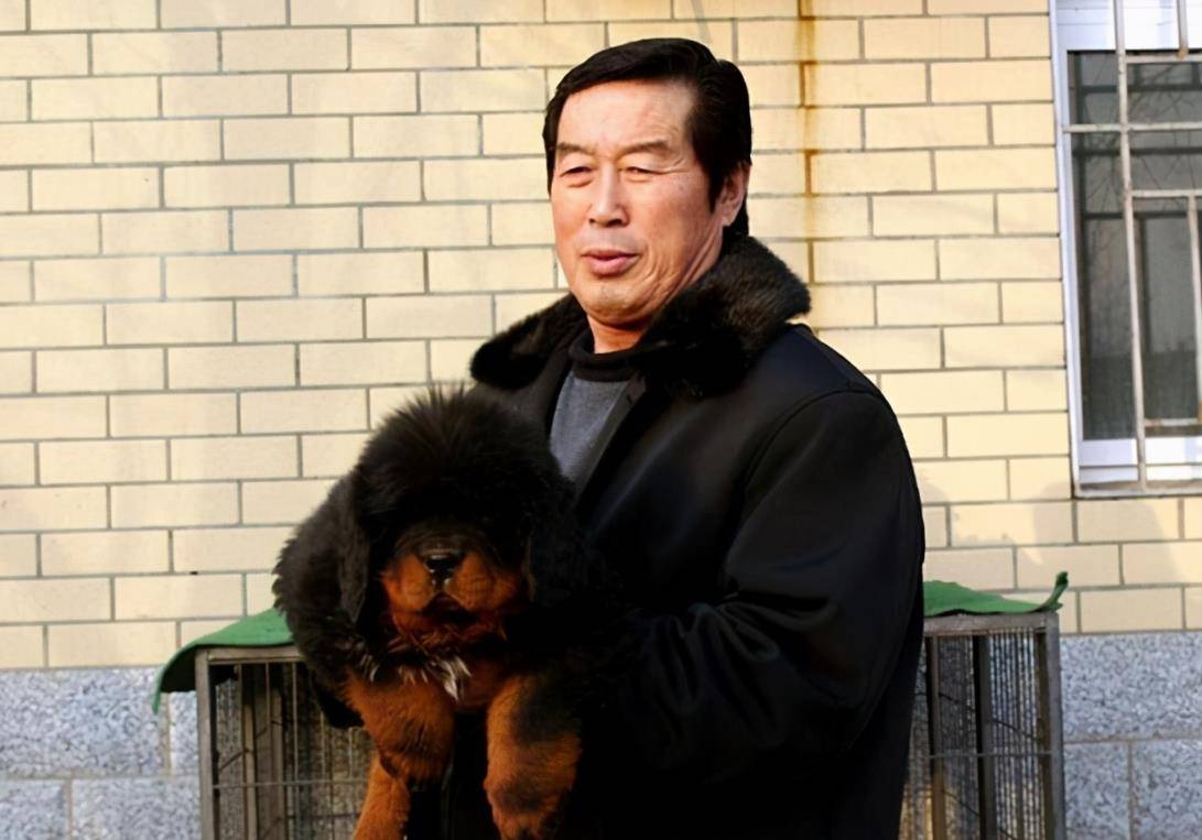 马俊仁曾培养出数位世界冠军跌下神坛后回到家乡养藏獒