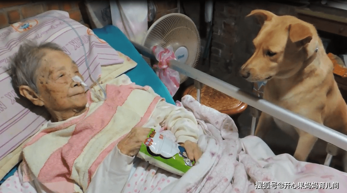 更想不到的是,从陈大妈生病住院,到现在在家养病这几个月的时间内,一