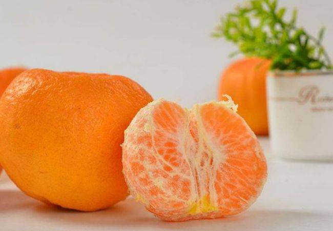 东阳橘子好不好吃