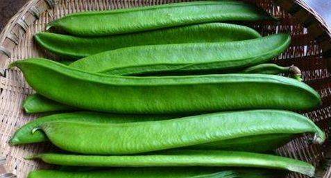 笋是酸性还是碱性的 b917da1cdbd74bc2bff67f643cbc0a8b.jpeg