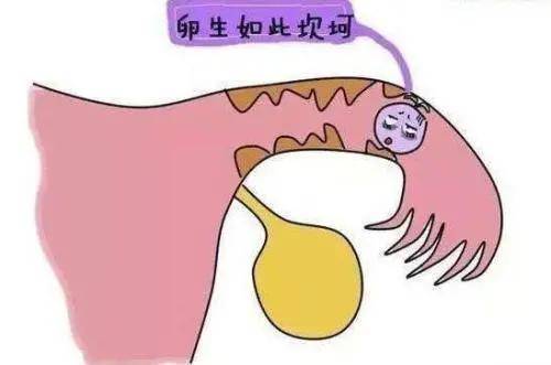 9130e3eef612428ba5836aefc45d7425.jpeg