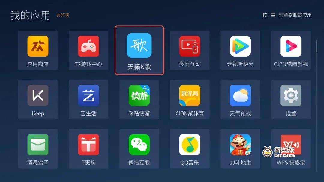 使用的tcl电视上,有没有【音乐频道】或者能不能安装【天籁k歌】app