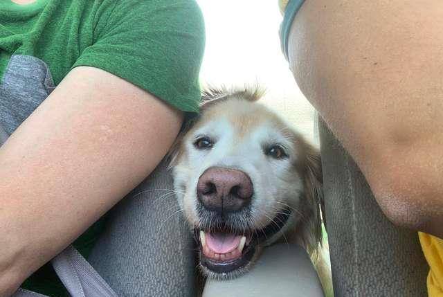 如何让自己变得开心无恐惧 09c8e3065e3a4b01b62168821eb1709d.jpeg