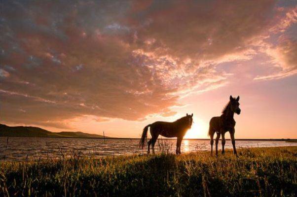 怎么才能有气势 7811bb3c4447410d9619c64a8fb425ab.jpeg