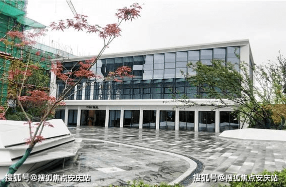 国际学校高中排名_高中学校图片(2)