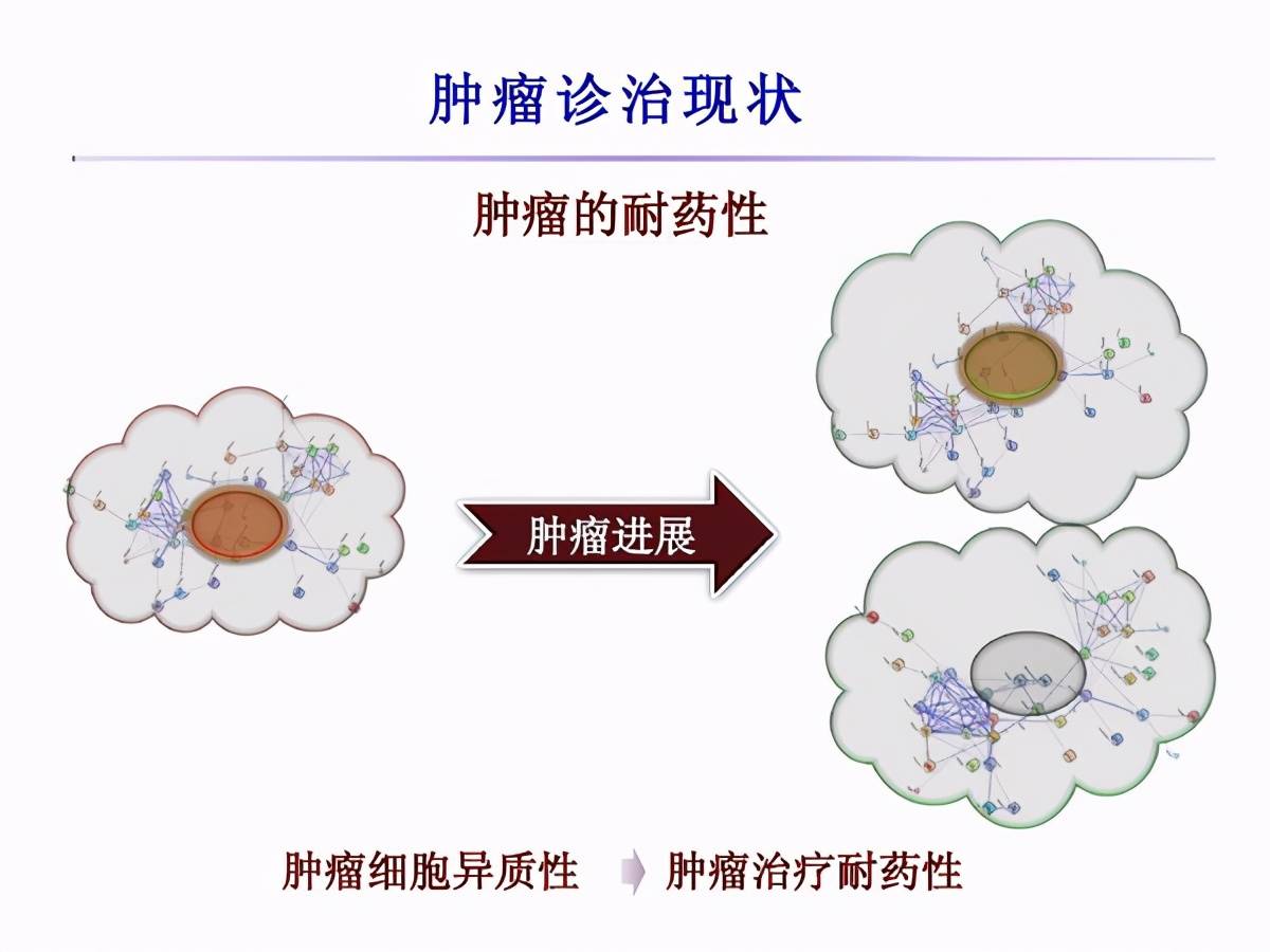 耐药是如何发生的?在研究中,认为肿瘤细胞自发突变的可能性较高.