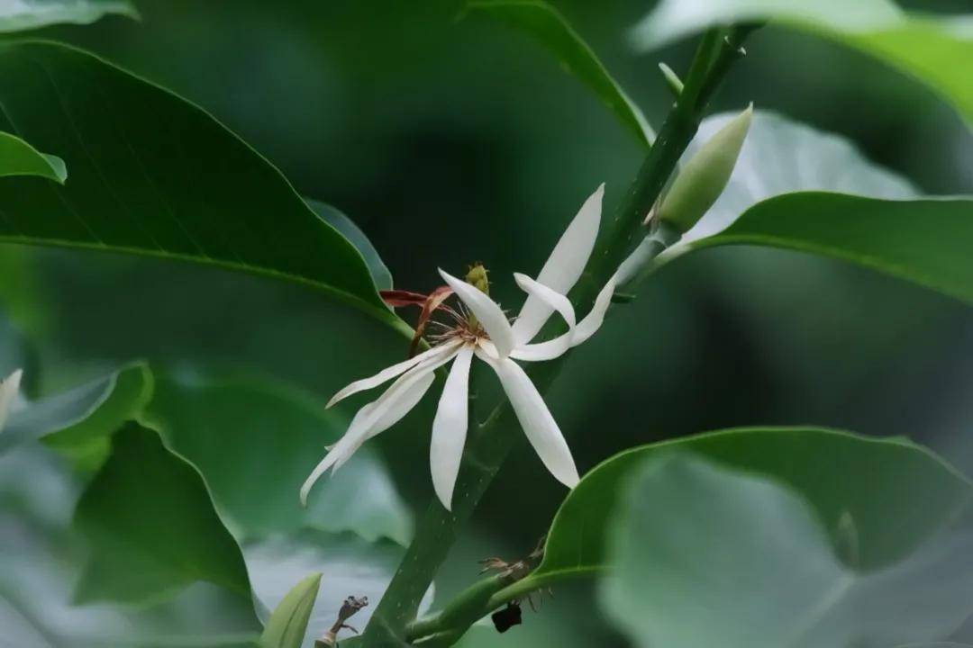 芒种丨人生最好的状态是忙而不盲