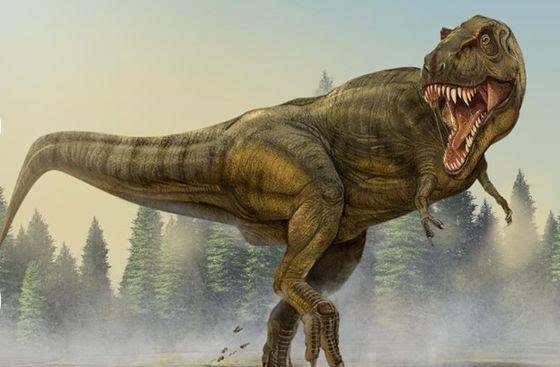 原创恐龙灭绝之后,人类诞生以前,谁才是地球真正的霸主?