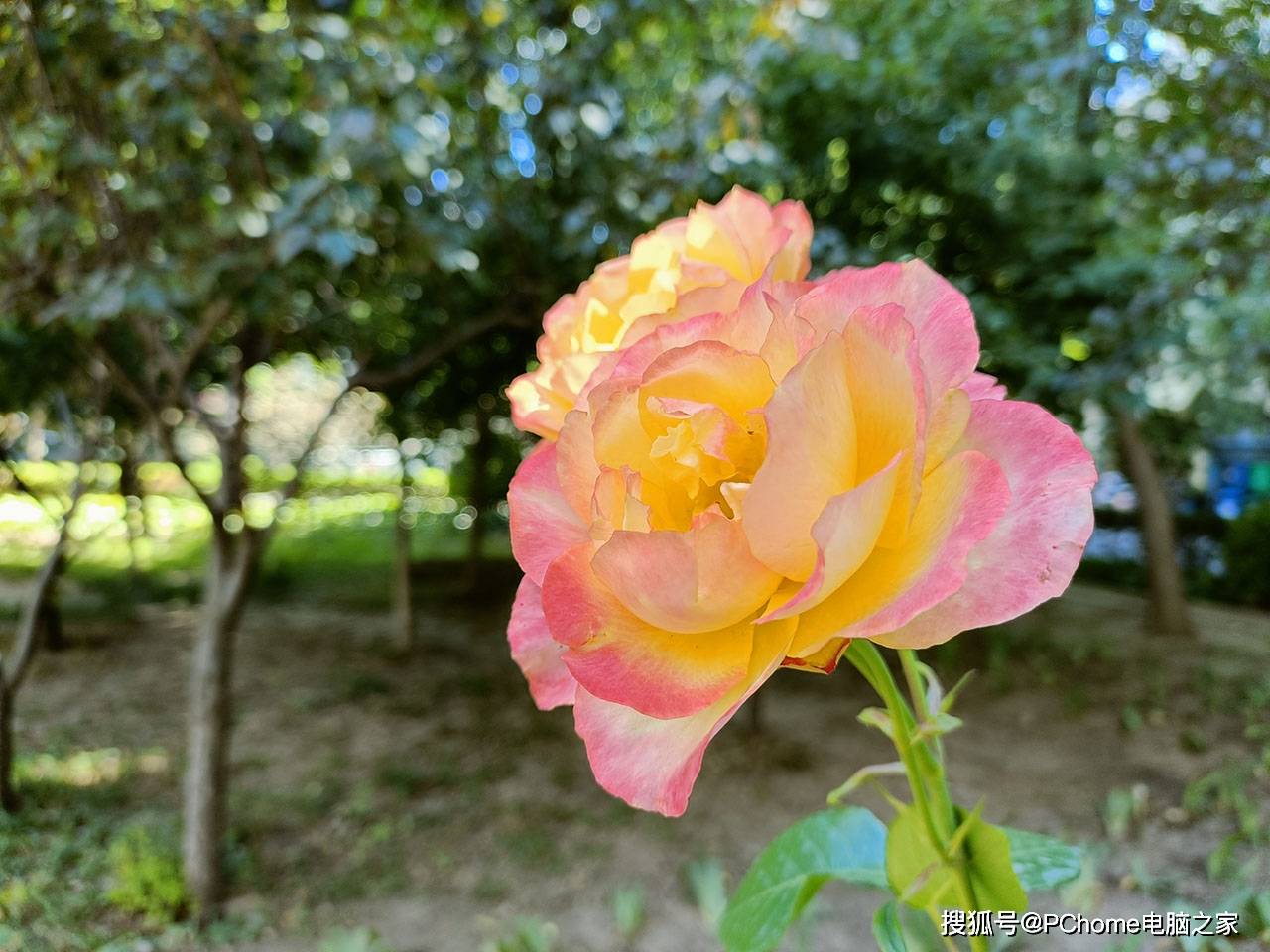 评测|OPPO Reno6 Pro评测 人像视频轻松创作更美更好玩