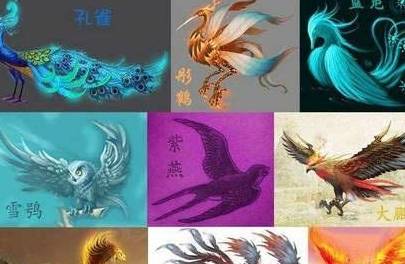 成语凤什么雏_成语故事手抄报