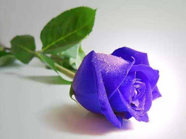 f168fad8da6f41079a480a67dfc4fd50.jpeg