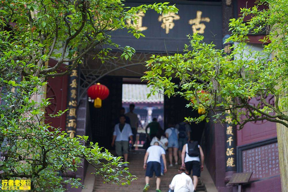 原創盛夏避暑目的地推薦西蜀第一山青城山天下幽雙料世界遺產