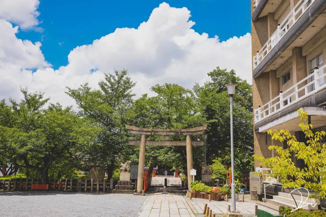 红墙、蓝天、白云,这才是夏天打开京都的正确方式!