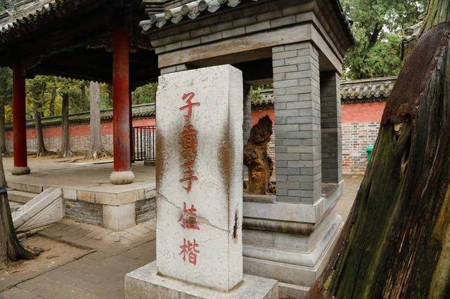 哪位弟子对孔子帮助最大答案不是孔子最喜欢的颜回