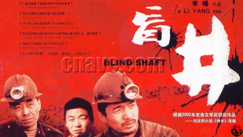 从获奖作品《神木》到国际大奖电影《盲井》