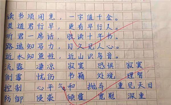 小学生 豆腐块字体 走红 大学生自愧不如 坏了几台打印机 考试