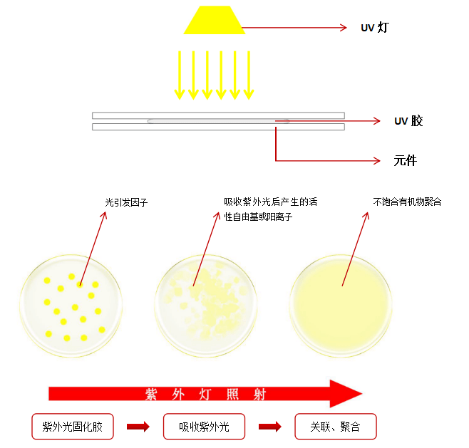 桐油固化什么原理_桐油什么成分