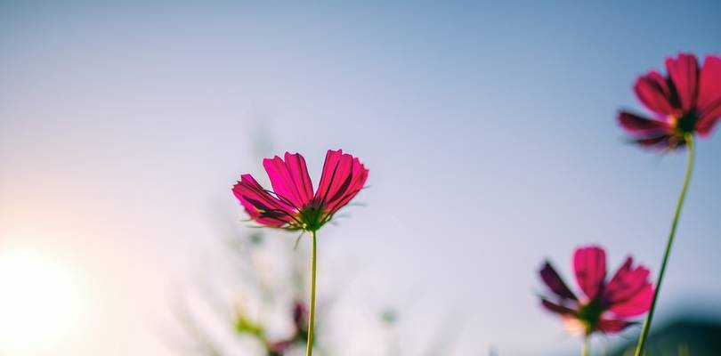 怎么样才能变得好运连连 f2fcf15ff17c4e5e93d74359c8fcc829.jpeg