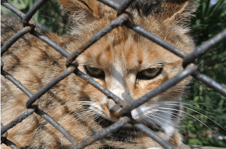 品味十年光影流转_巴金