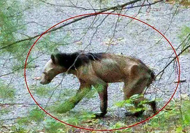 63d7914c44d04112a5428cfc2026a9b5.jpeg