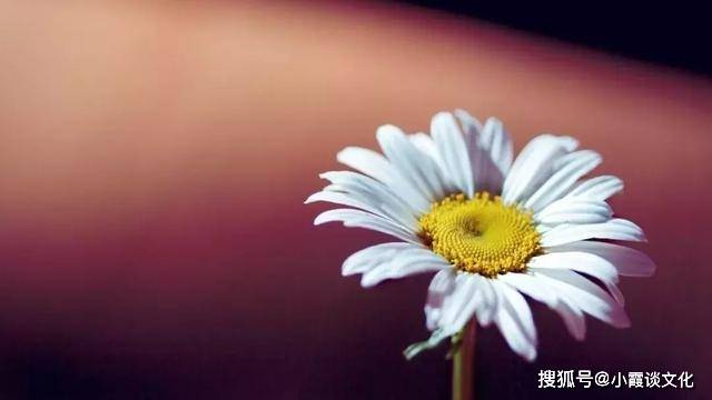 随遇而安后半句 800235973ab04ae8800dae16a47e18cb.jpeg