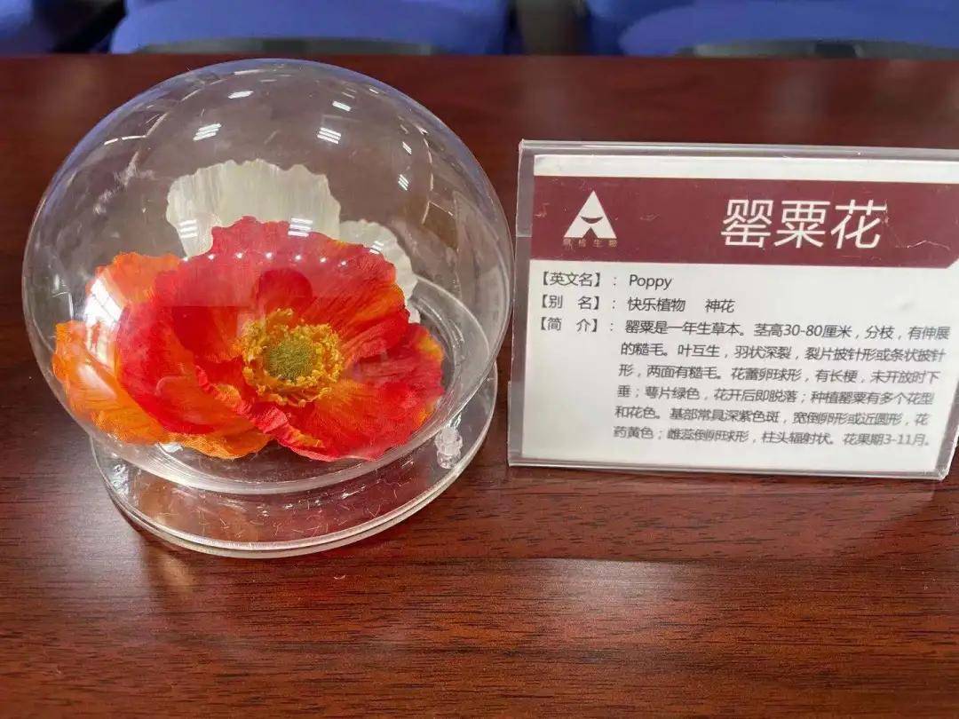 识毒防毒拒毒北辰区禁毒宣讲进校园为青少年健康成长保驾护航